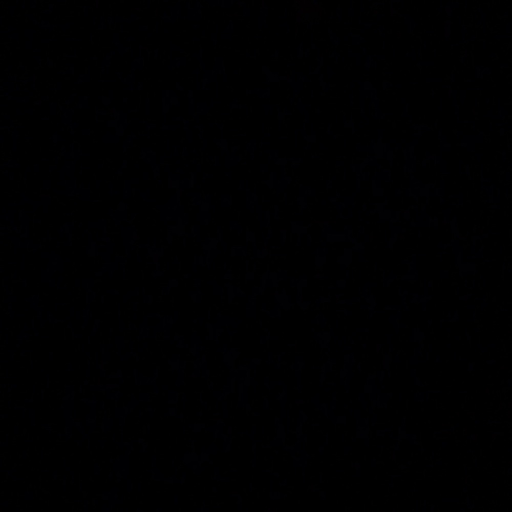 Meet your Posher, Daisy